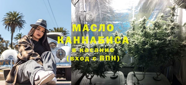 индика Белоозёрский