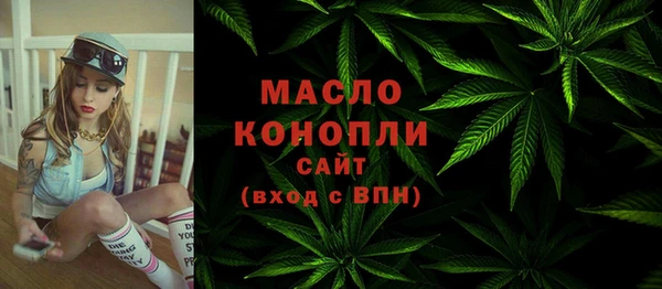 индика Белоозёрский
