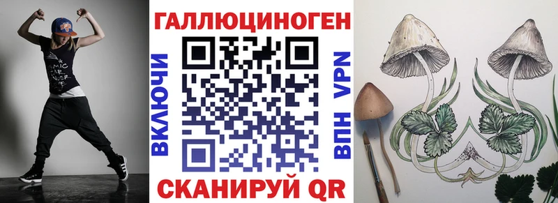 купить наркоту  Пятигорск  ОМГ ОМГ ONION  Псилоцибиновые грибы Cubensis 