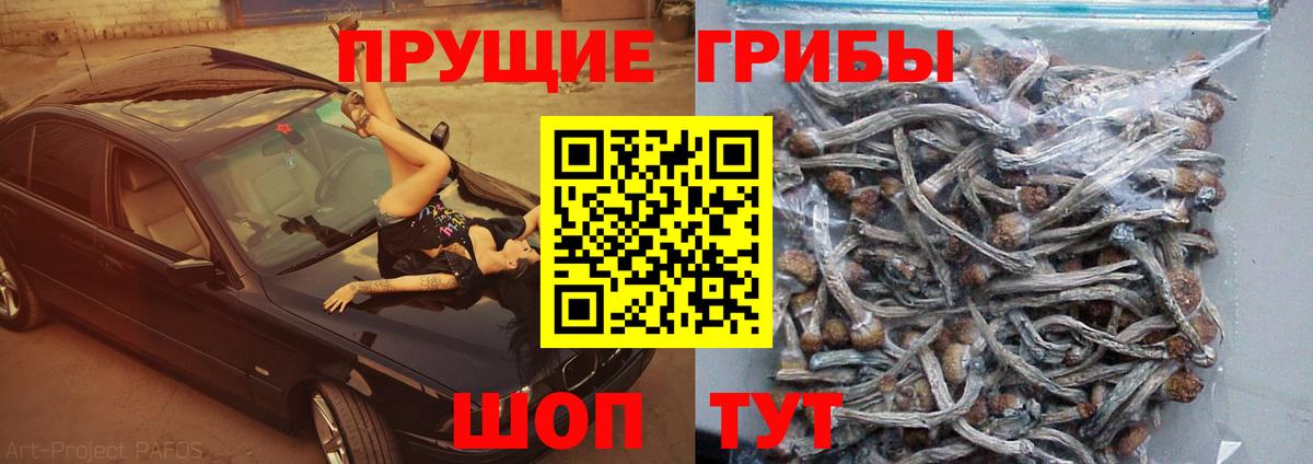 Галлюциногенные грибы GOLDEN TEACHER  Вход с VPN  Пятигорск 